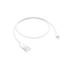 Apple Lightning To Usb Cable 0.5 Meter